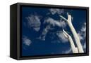 Canvas Black