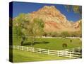 Stretched Canvas