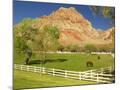 Wood Mount