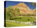 Stretched Canvas