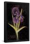 Essential Black