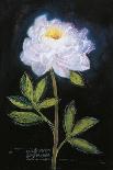 Twilight Peony-Maret Hensick-Art Print