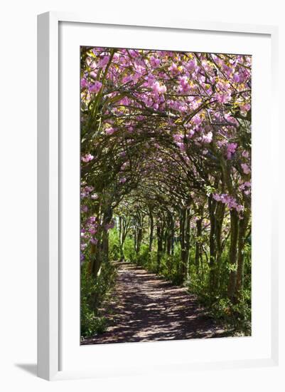 Margam Park, Port Talbot, Wales, United Kingdom, Europe-Billy Stock-Framed Photographic Print