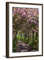 Margam Park, Port Talbot, Wales, United Kingdom, Europe-Billy Stock-Framed Photographic Print