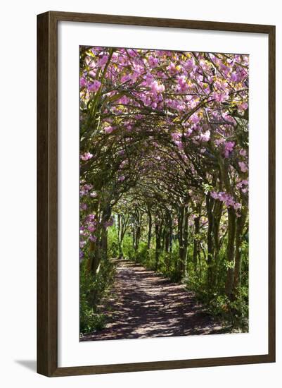 Margam Park, Port Talbot, Wales, United Kingdom, Europe-Billy Stock-Framed Photographic Print