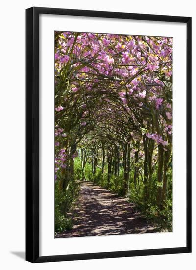 Margam Park, Port Talbot, Wales, United Kingdom, Europe-Billy Stock-Framed Photographic Print