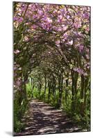 Margam Park, Port Talbot, Wales, United Kingdom, Europe-Billy Stock-Mounted Photographic Print