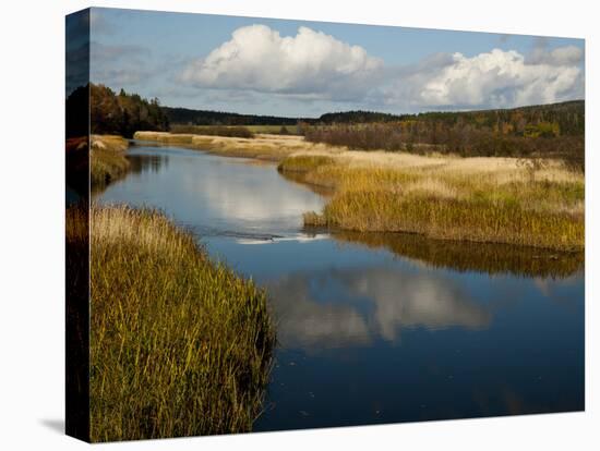 Margaree River, Nova Scotia, Canada-Patrick J. Wall-Stretched Canvas
