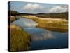 Margaree River, Nova Scotia, Canada-Patrick J. Wall-Stretched Canvas