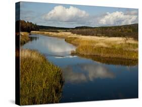 Margaree River, Nova Scotia, Canada-Patrick J. Wall-Stretched Canvas