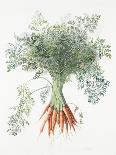 Carrots, 1995-Margaret Ann Eden-Giclee Print