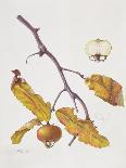 Figs, 1995-Margaret Ann Eden-Framed Giclee Print