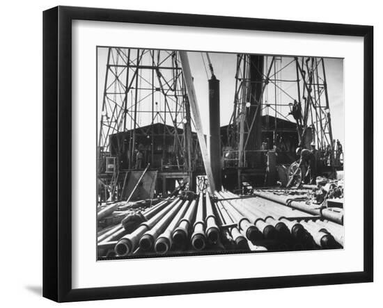 Premium Photographic Print, , large