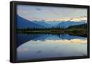 Essential Black