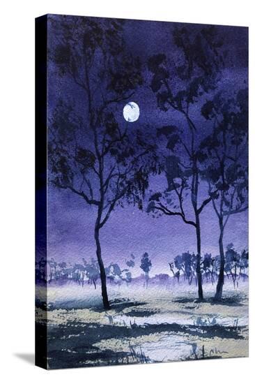 Stretched Canvas Print, , large