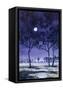 Canvas Black