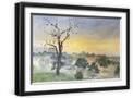 Black Frame