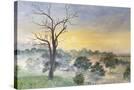 Stretched Canvas