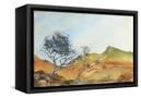 Canvas Black