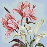 Pastel Floral II-Margaret Ferry-Art Print