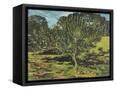 Canvas Black