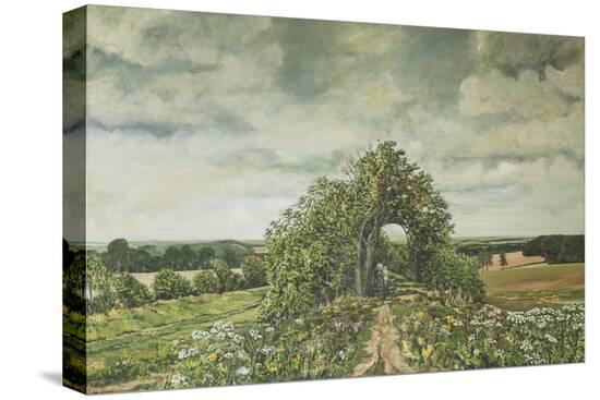 Stretched Canvas Print, , large
