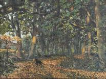 The Woodland Paths are Dry, 2003-Margaret Hartnett-Giclee Print
