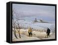 Framed Canvas