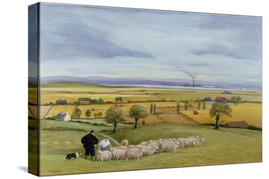 Stretched Canvas Print, , large