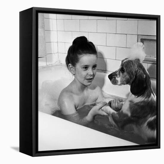 Margaret O'Brien and Her Spaniel Maggie Share a Bubble Bath-Marie Hansen-Framed Stretched Canvas