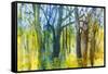 Margaret's Forest-Margaret Coxall-Framed Stretched Canvas