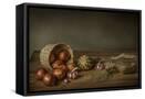 Framed Canvas