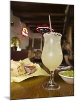 Margarita and Nachos at Maria's Bar and Restaurant, Santa Fe, New Mexico-Michael DeFreitas-Mounted Photographic Print