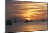 Margarita Island Sunset Over-null-Mounted Photographic Print
