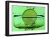 Margarita-Gordon Semmens-Framed Photographic Print