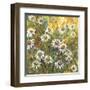 Margherite nel sole-Luigi Florio-Framed Giclee Print