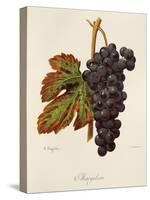 Margilien Grape-A. Kreyder-Stretched Canvas