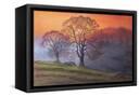 Canvas Black