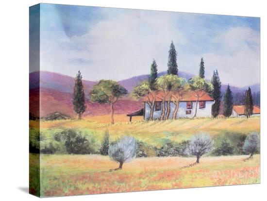 Stretched Canvas Print, , large