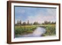Brown Frame