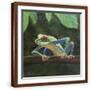 Brown Frame