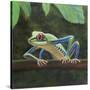 Stretched Canvas