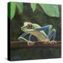 Stretched Canvas