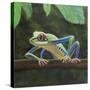 Stretched Canvas