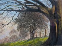 Windblown treesShroesbury,  pastel-Margo Starkey-Giclee Print