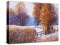 Stretched Canvas