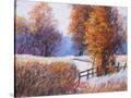 Stretched Canvas