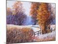 Wood Mount