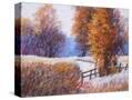 Stretched Canvas