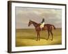 Margrave' with James Robinson Up, 1833-John Frederick Herring I-Framed Giclee Print